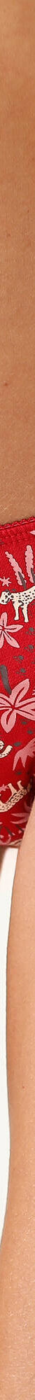 Katoenen slip met "panter" print - Set van 4 (rood) Katoenen slip met "panter" print - Set van 4 (rood)